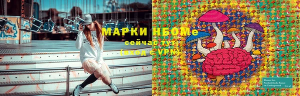 индика Алексин