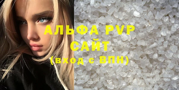 прущие грибы Абаза