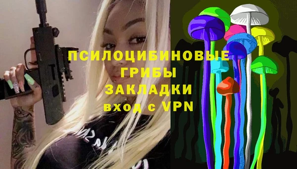 ПСИЛОЦИБИНОВЫЕ ГРИБЫ Алексеевка