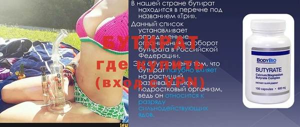 индика Алексин