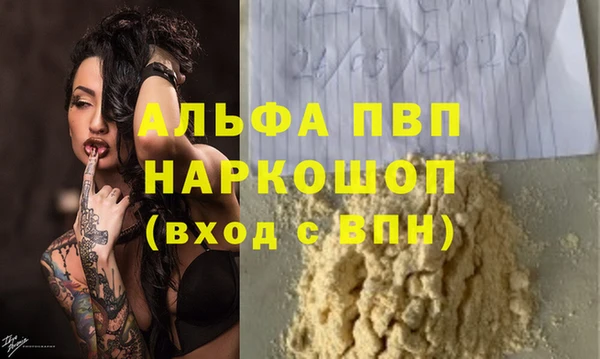 индика Алексин