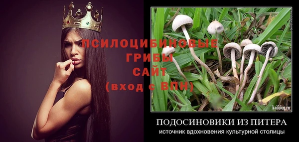 индика Алексин